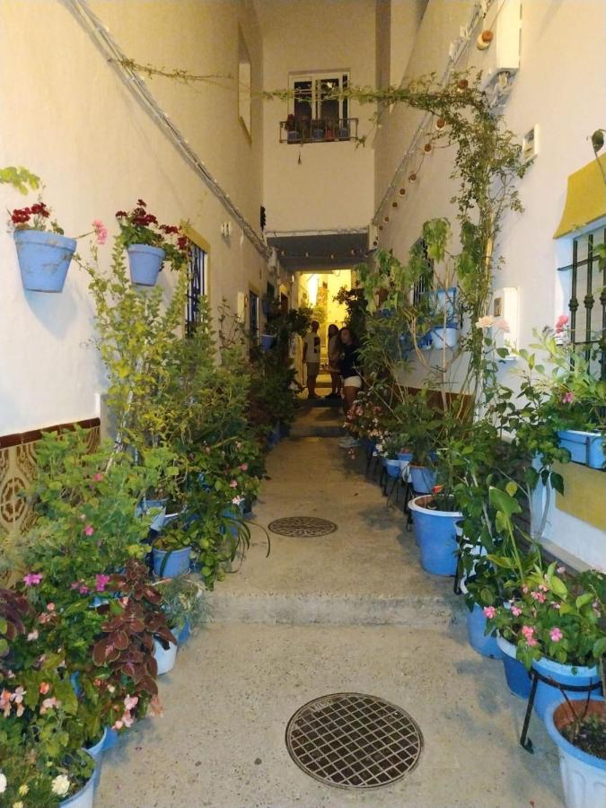 科尼尔-德拉弗龙特拉Casa Jurel公寓 外观 照片